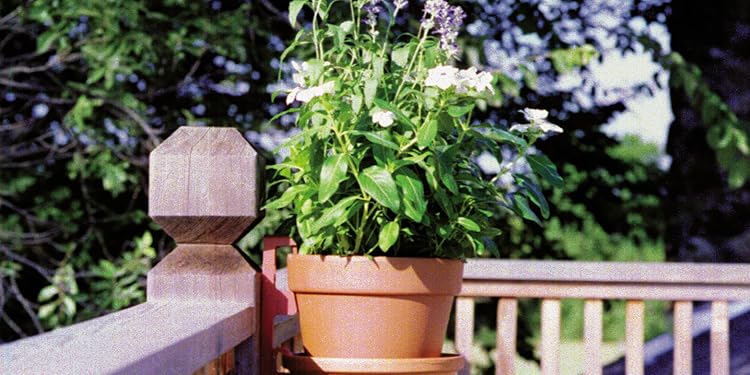 Precision Monitoring for Every Environment